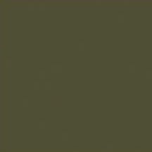 Load image into Gallery viewer, Patio Paint