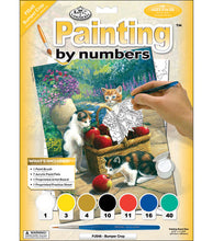 Load image into Gallery viewer, Junior Paint By Numbers