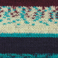 Load image into Gallery viewer, Kroy Socks Yarn
