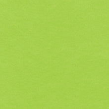 Load image into Gallery viewer, Rainbow Eco-Fi Classic Felt