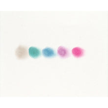 Load image into Gallery viewer, Jane Davenport Shimmer Pastel