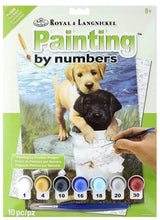 Load image into Gallery viewer, Junior Paint By Numbers