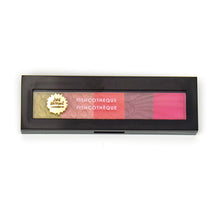 Load image into Gallery viewer, Jane Davenport Shimmer Pastel