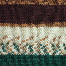 Load image into Gallery viewer, Kroy Socks Yarn