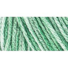 Load image into Gallery viewer, Super Saver Yarn