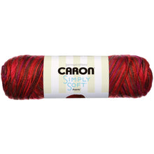 Load image into Gallery viewer, Simply Soft Variegated Yarn