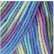 Load image into Gallery viewer, Super Saver Yarn