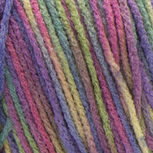 Load image into Gallery viewer, Super Saver Yarn