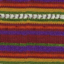 Load image into Gallery viewer, Kroy Socks Yarn