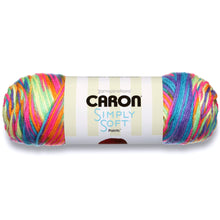 Load image into Gallery viewer, Simply Soft Variegated Yarn