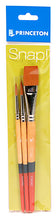 Load image into Gallery viewer, Princeton Snap! Brush Set