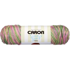 Simply Soft Variegated Yarn