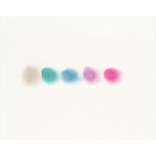 Load image into Gallery viewer, Jane Davenport Shimmer Pastel
