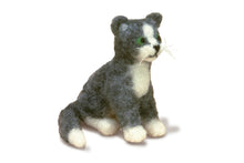 Load image into Gallery viewer, Dimensions Feltworks Needle Felting Kit
