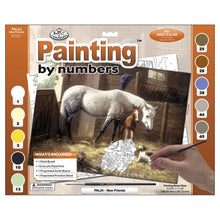 Load image into Gallery viewer, Royal &amp; Langnickel Painting by numbers
