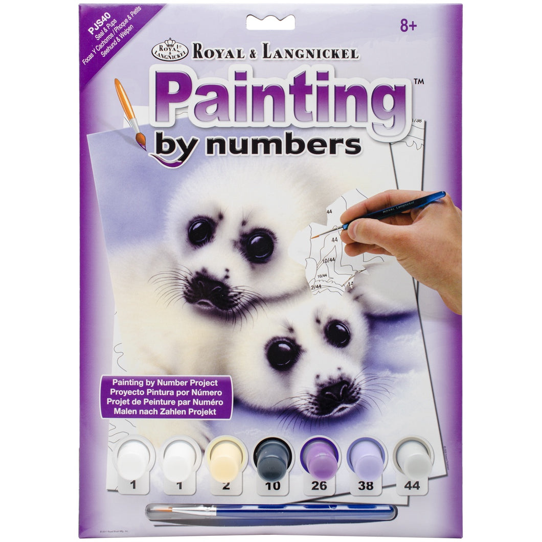 Junior Paint By Numbers
